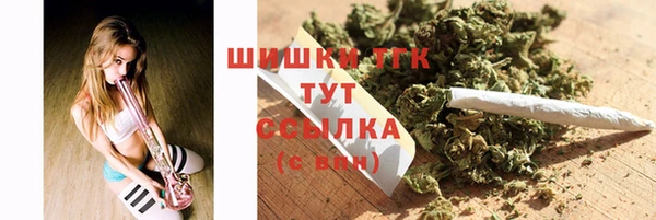 прущий лед Нея