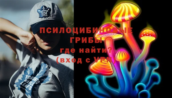 прущий лед Нея