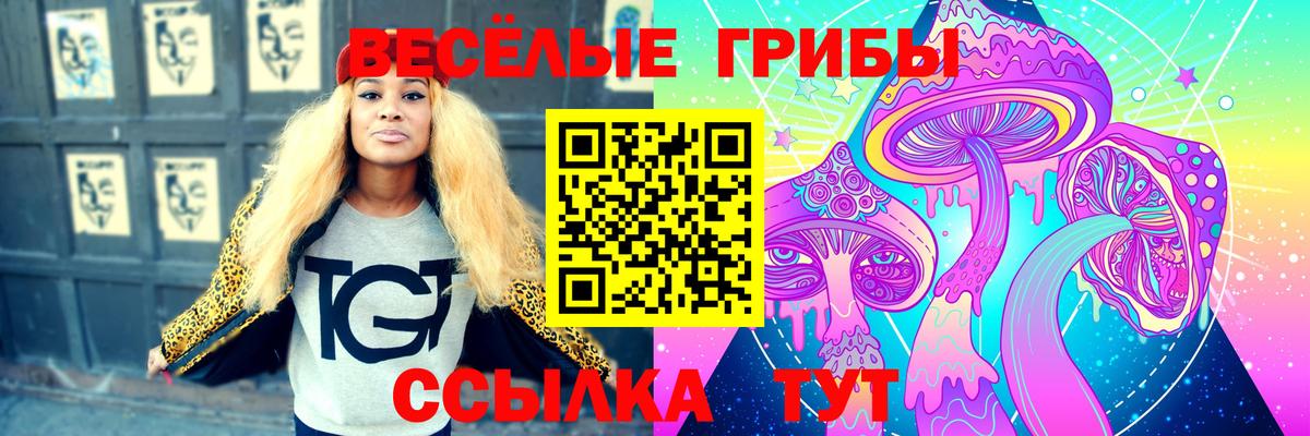 Псилоцибиновые грибы прущие грибы Мирный