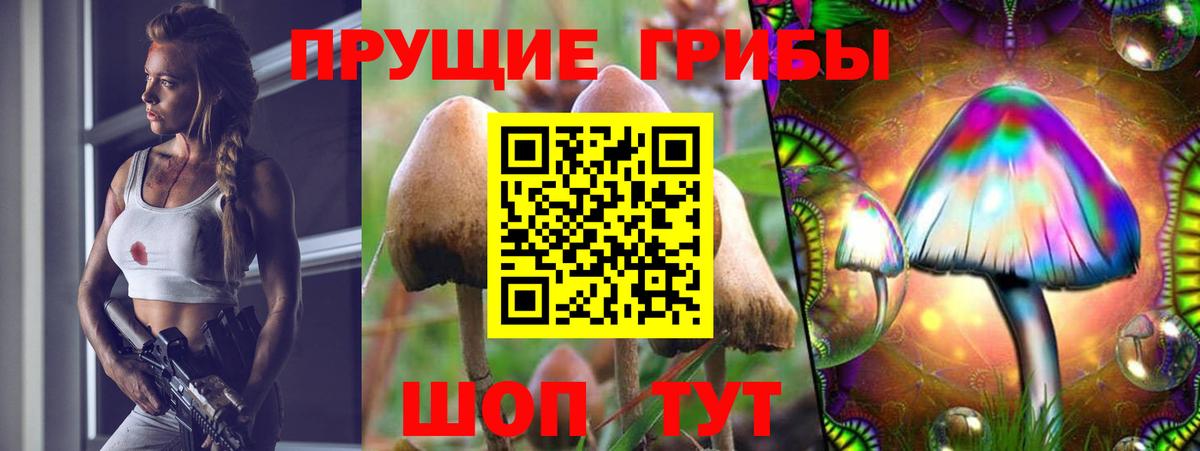 Галлюциногенные грибы GOLDEN TEACHER  Галлюциногенные грибы Cubensis  Вход с VPN  Мирный 